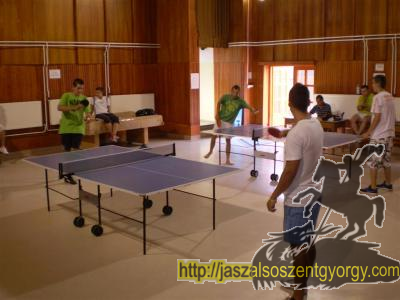 kep_pingpong_010.JPG