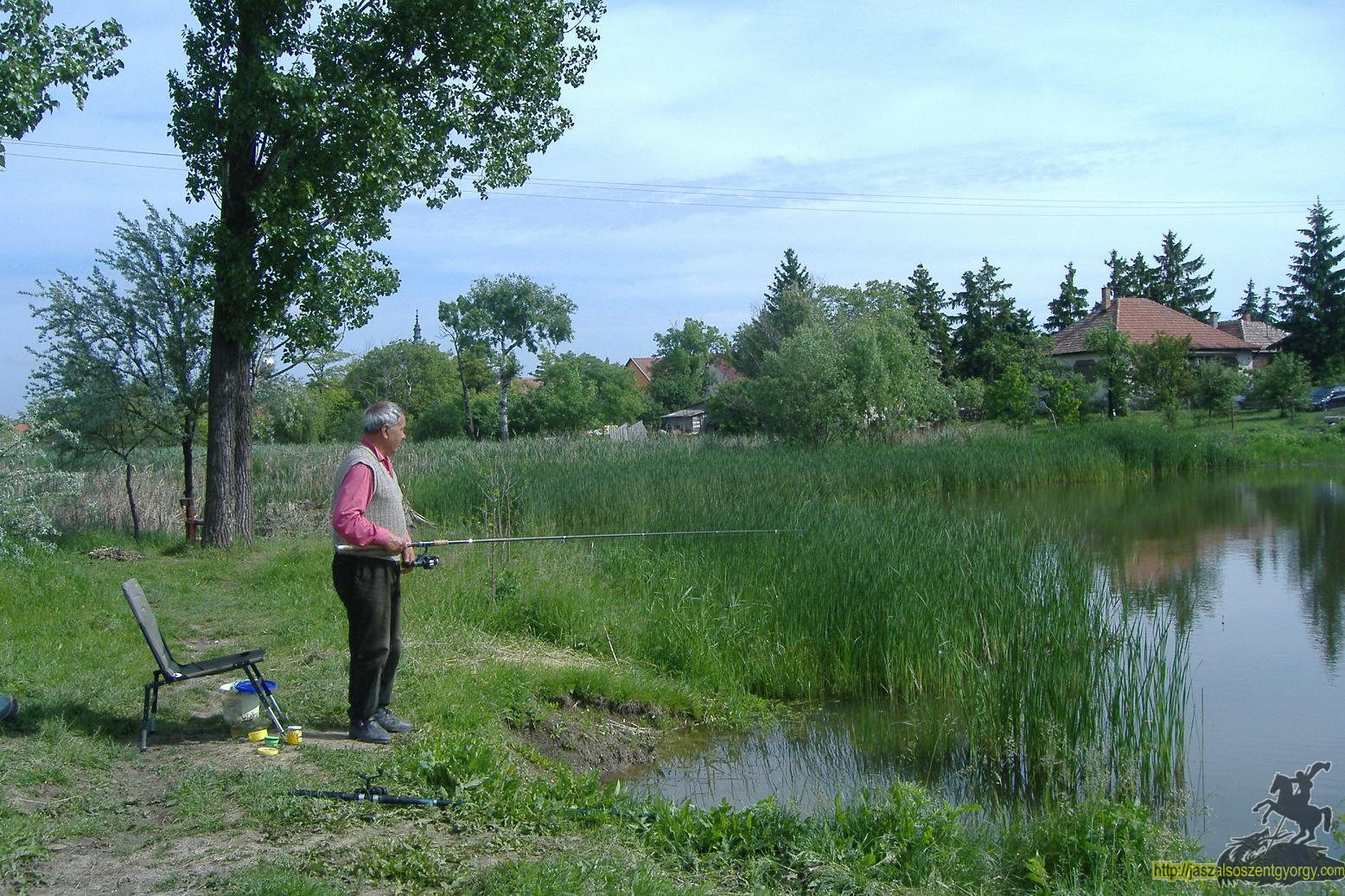 hollobela1.jpg