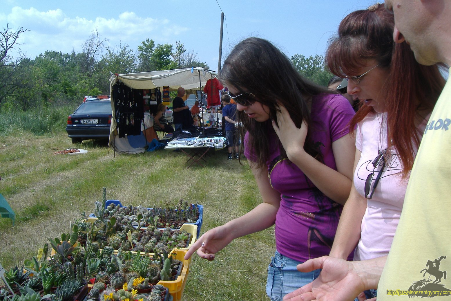 dscf7348.jpg