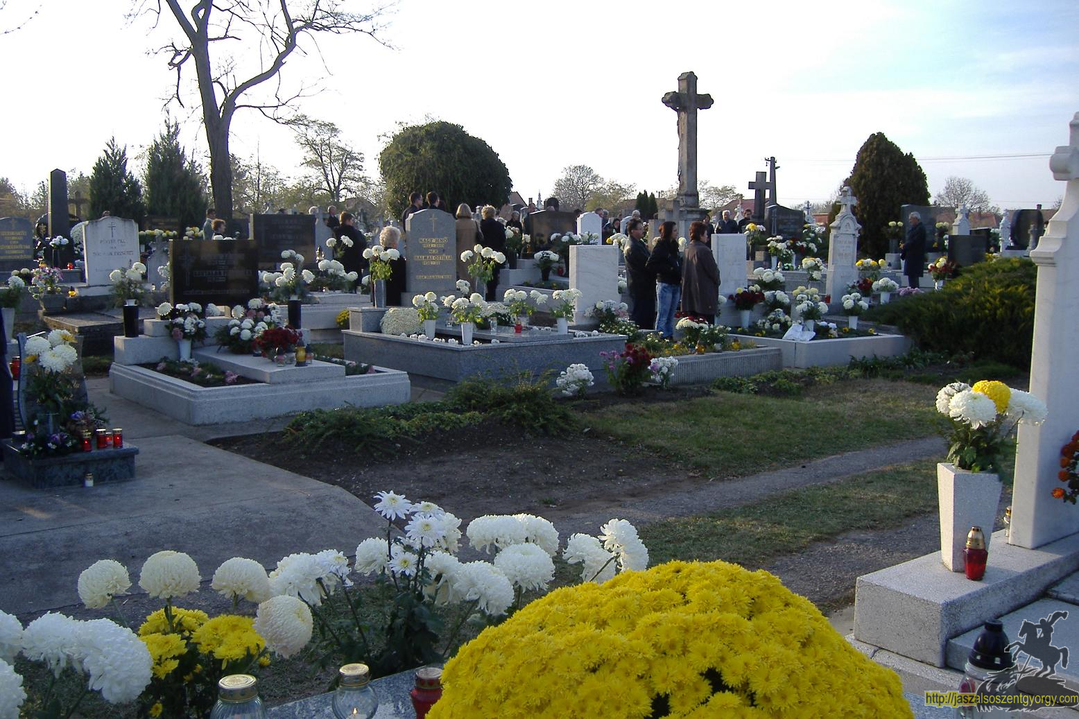 dscf0628b.jpg