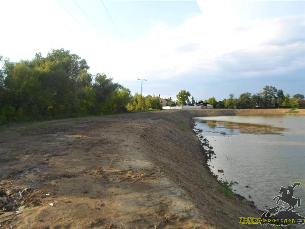 SAM_3576 (Large).JPG