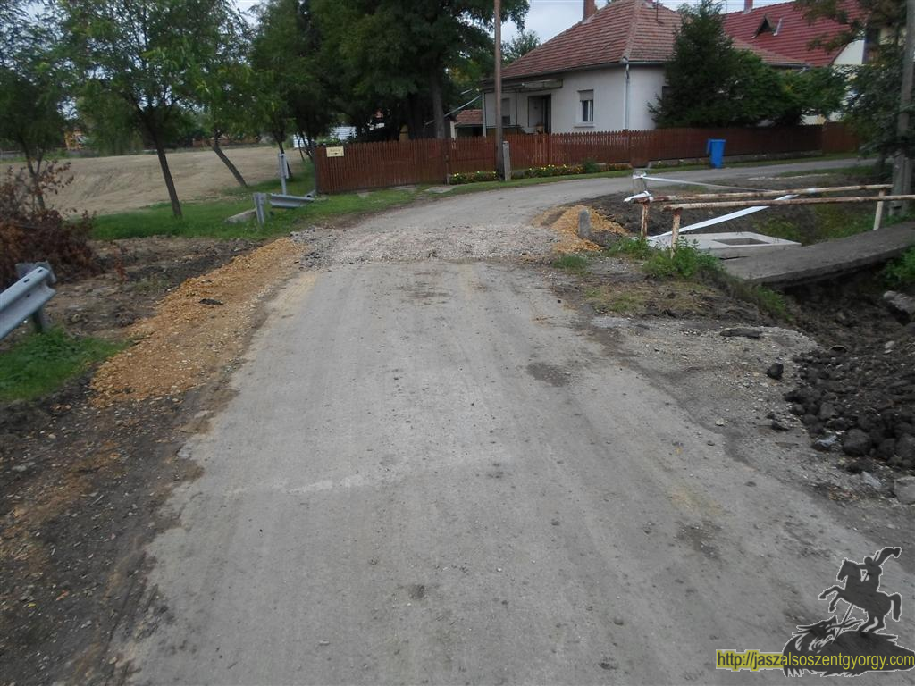 SAM_3648 (Large).JPG