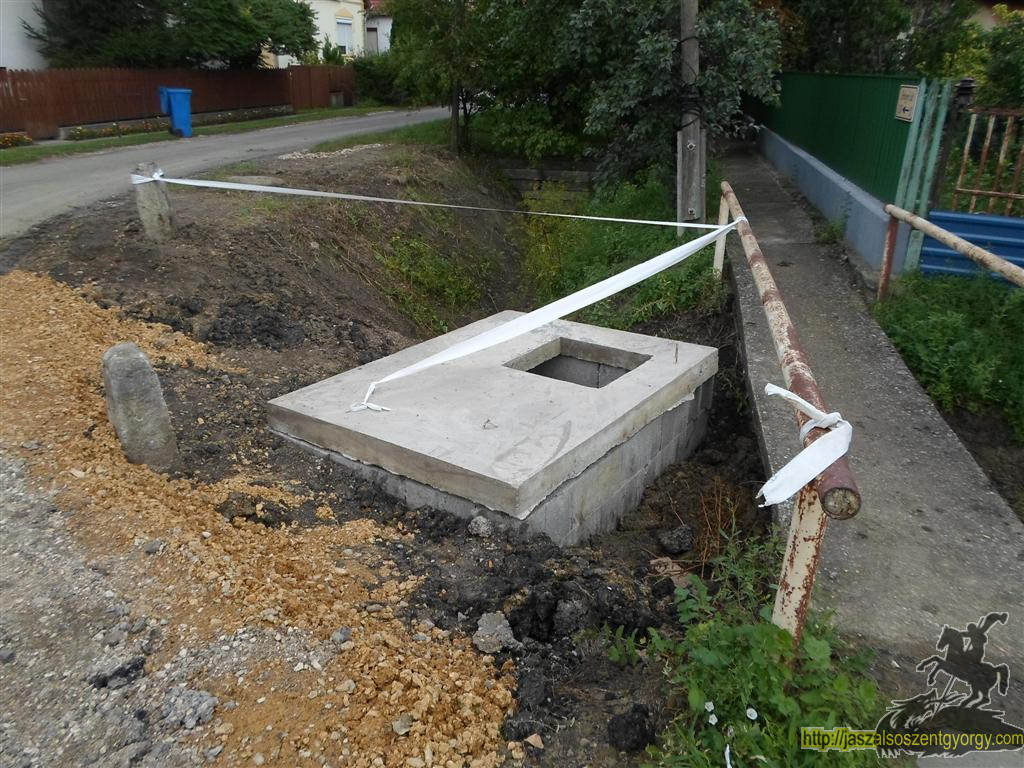 SAM_3649 (Large).JPG