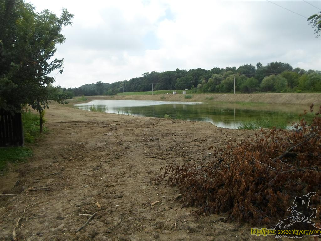 SAM_3650 (Large).JPG