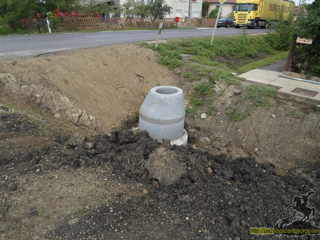 SAM_3651 (Large).JPG