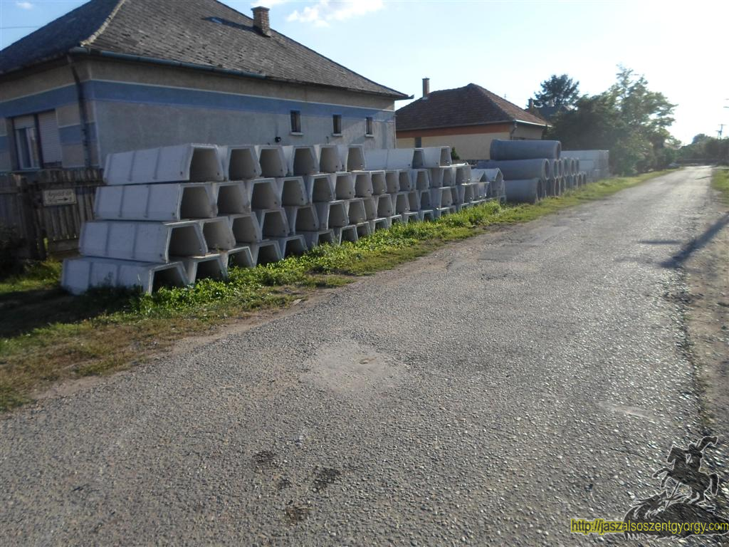 SAM_3842 (Large).JPG