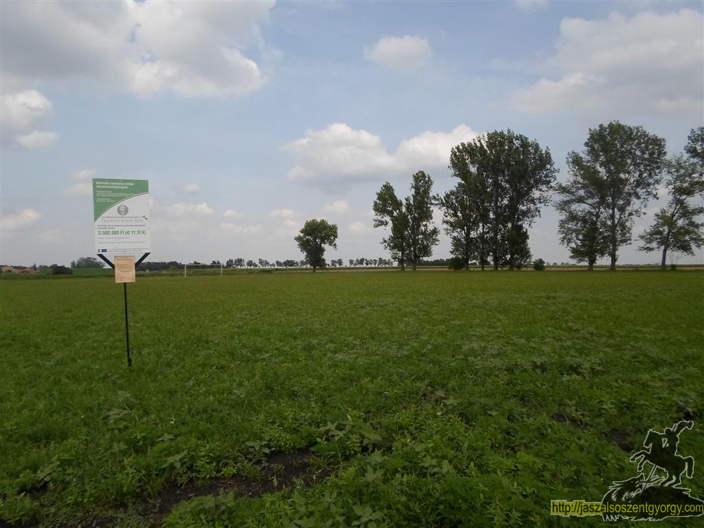 SAM_3622 (Large).JPG