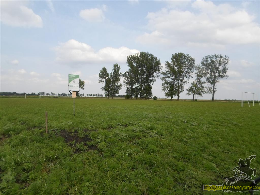 SAM_3627 (Large).JPG