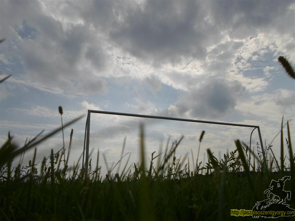 SAM_3630 (Large).JPG