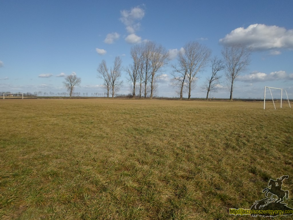 SAM_4878 (Medium).JPG