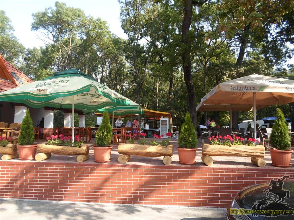 SAM_3665 (Large).JPG