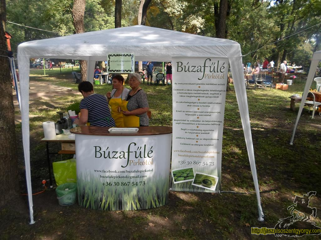 SAM_3729 (Large).JPG