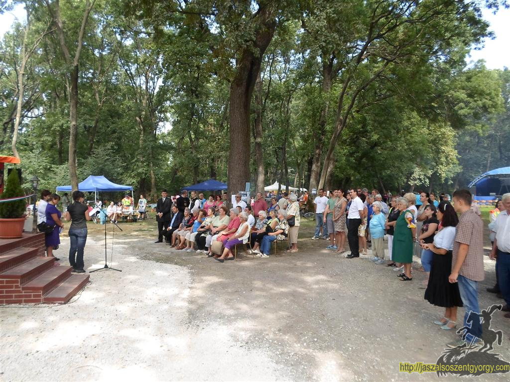 SAM_3743 (Large).JPG