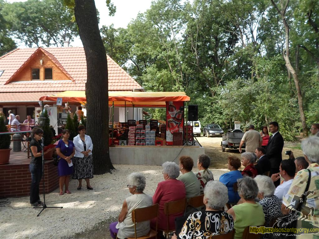 SAM_3746 (Large).JPG