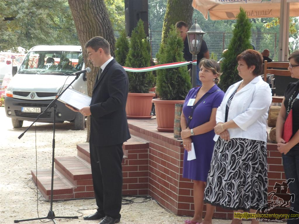 SAM_3754 (Large).JPG