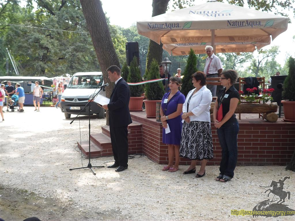 SAM_3755 (Large).JPG