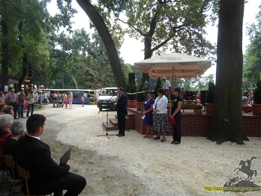 SAM_3758 (Large).JPG