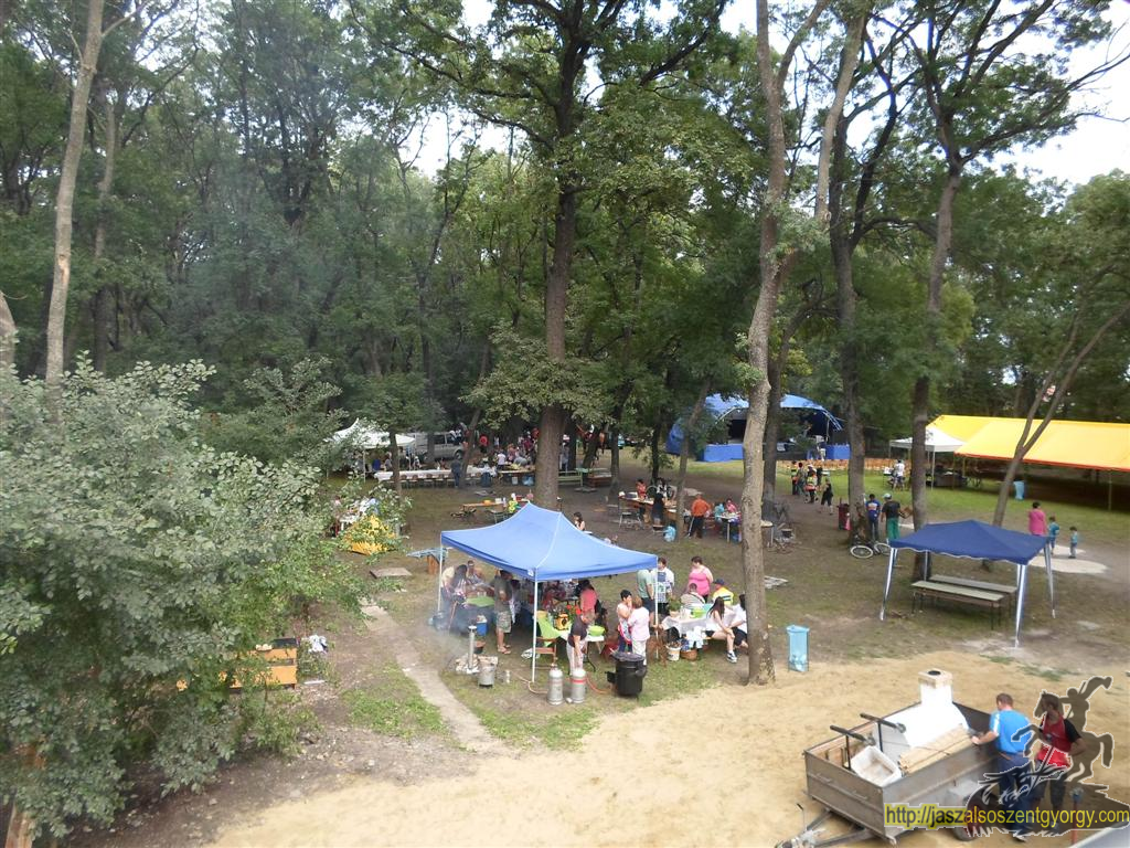 SAM_3777 (Large).JPG