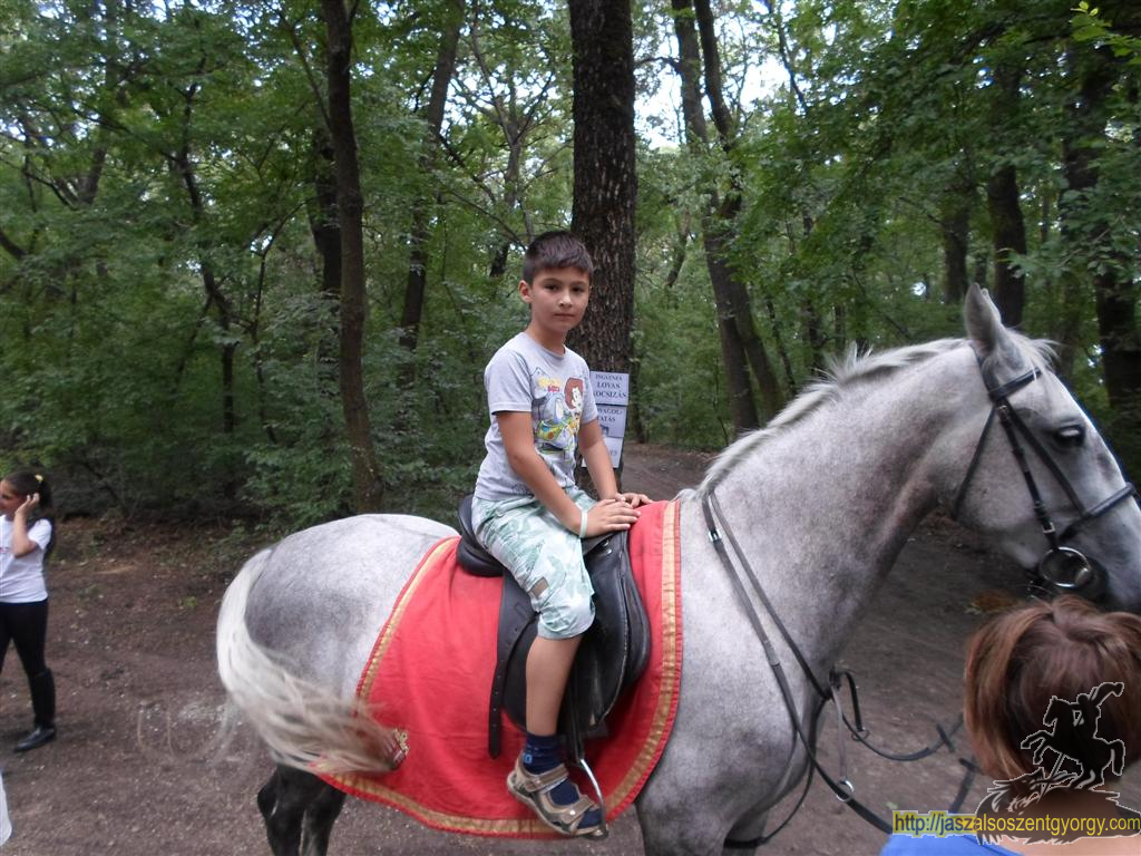 SAM_3786 (Large).JPG