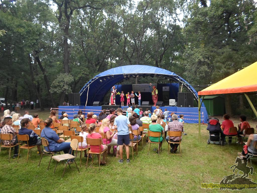 SAM_3799 (Large).JPG