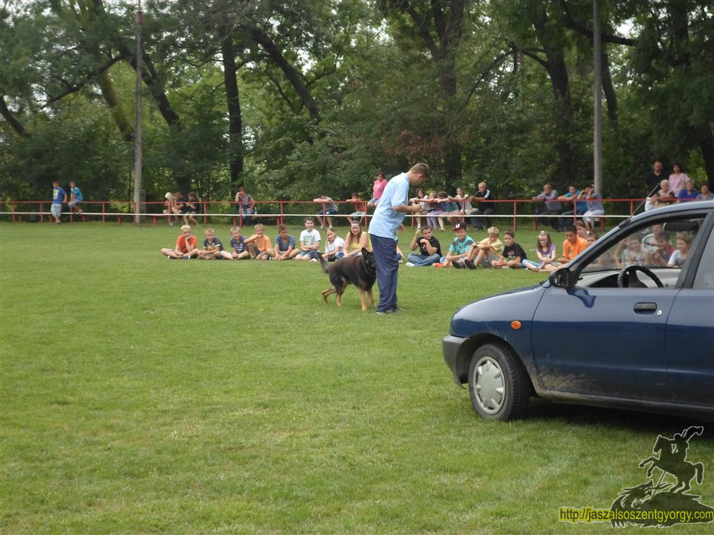 SAM_3813 (Large).JPG