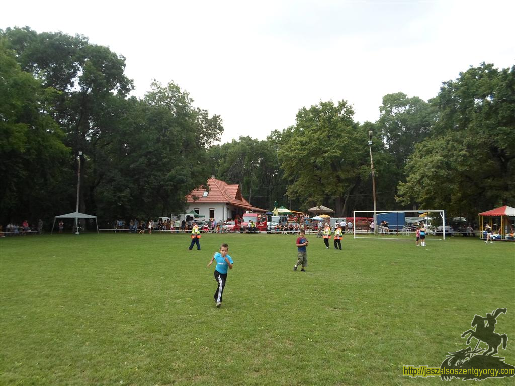 SAM_3817 (Large).JPG