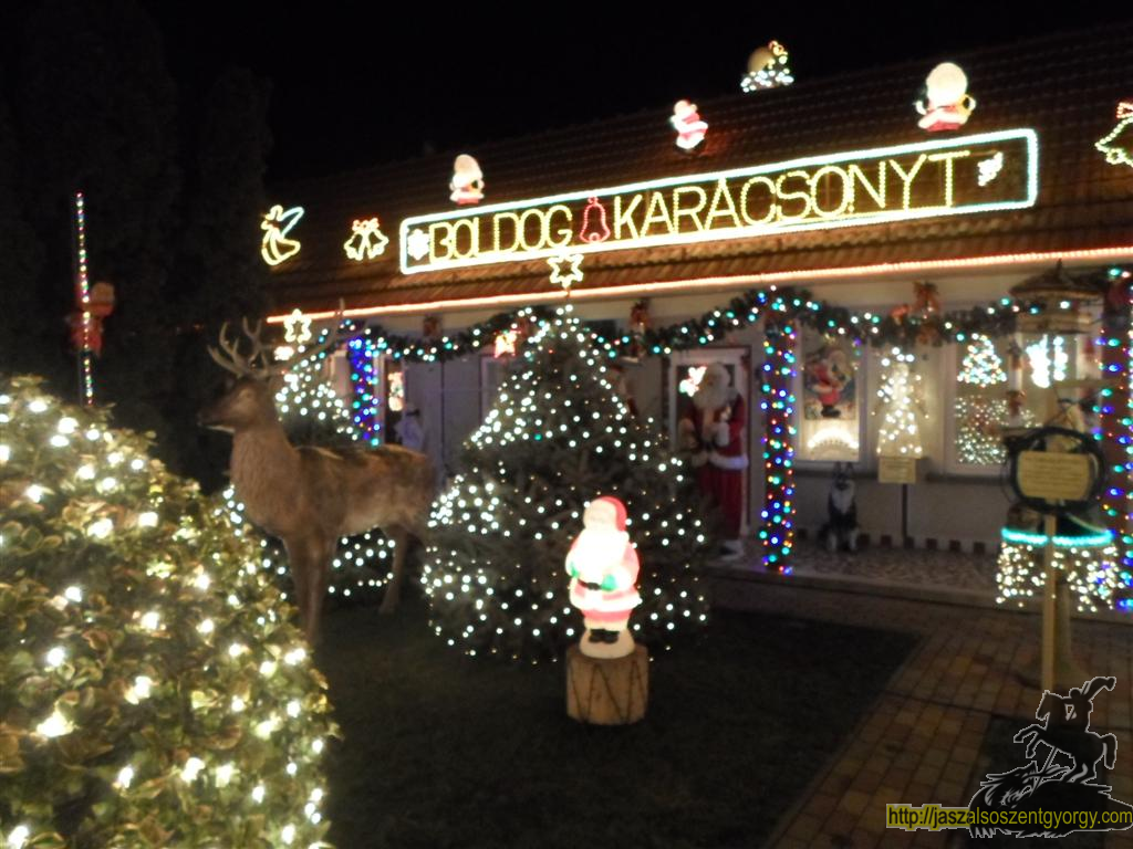 SAM_4360 (Large).JPG