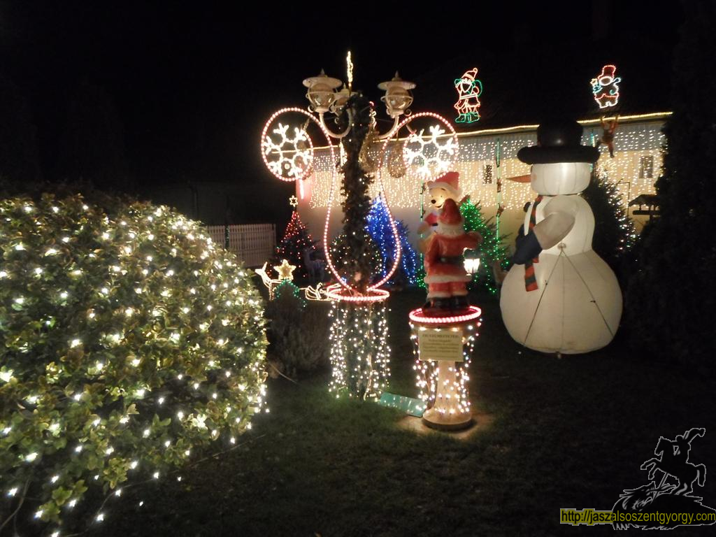 SAM_4364 (Large).JPG