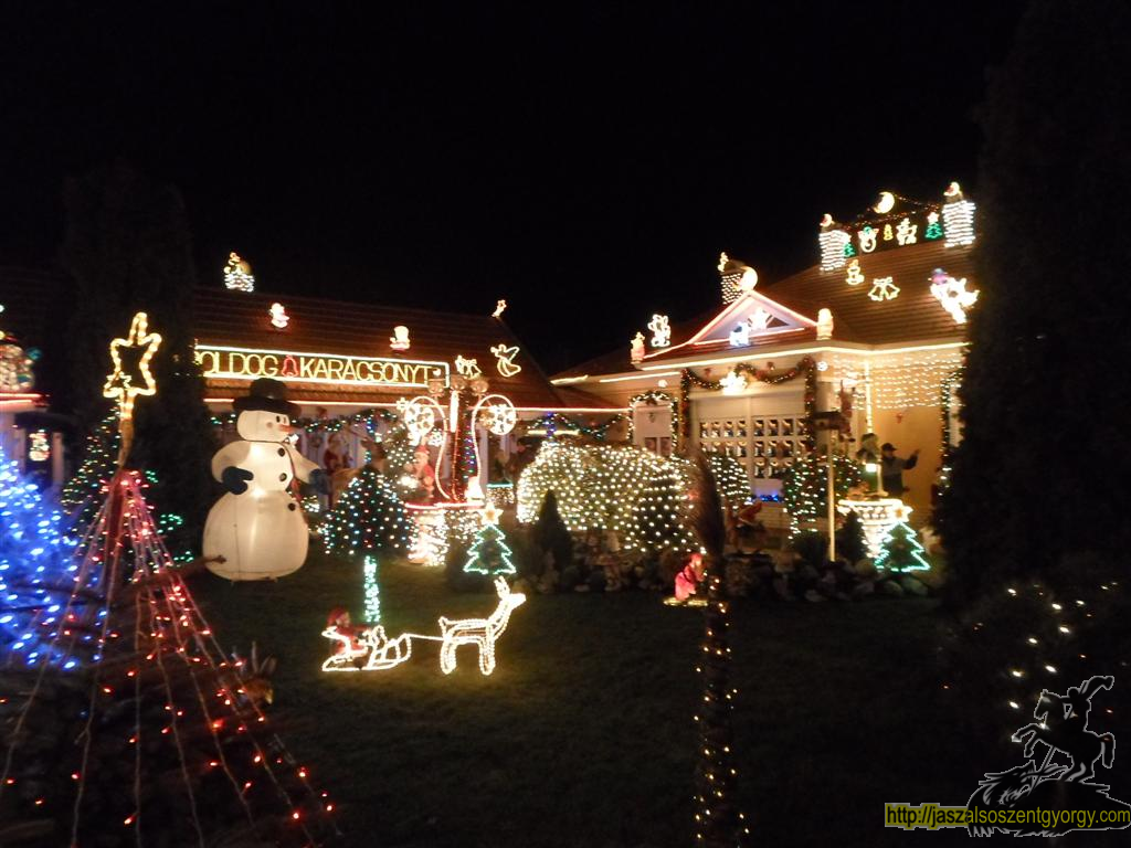 SAM_4369 (Large).JPG