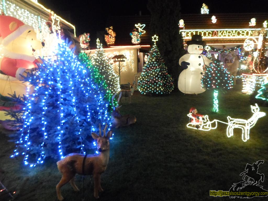 SAM_4370 (Large).JPG