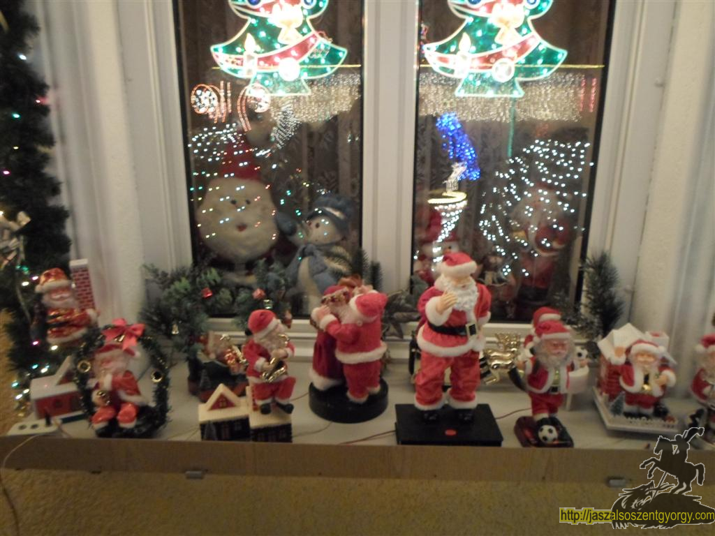 SAM_4376 (Large).JPG