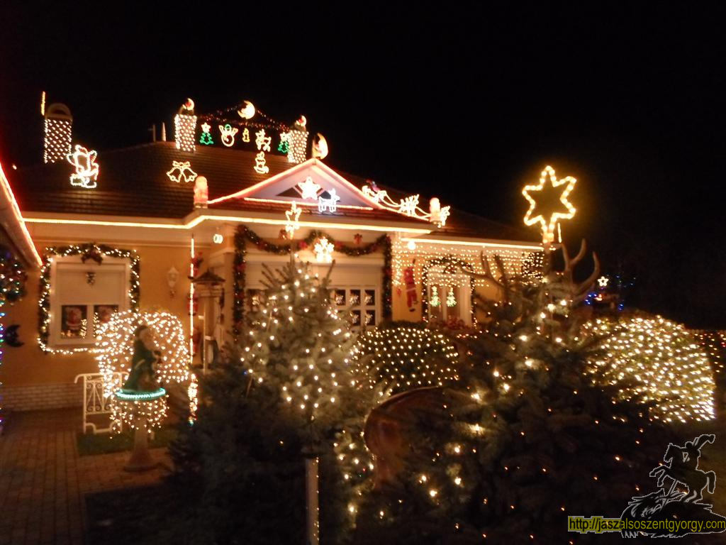 SAM_4395 (Large).JPG