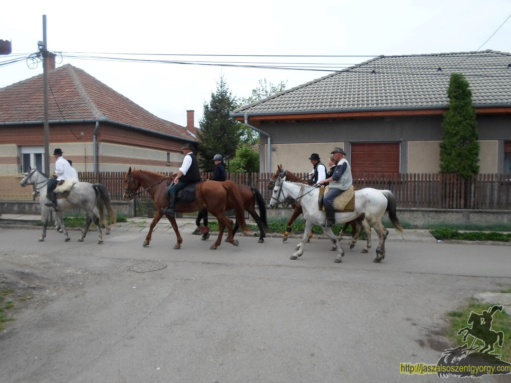 lovasok36.JPG
