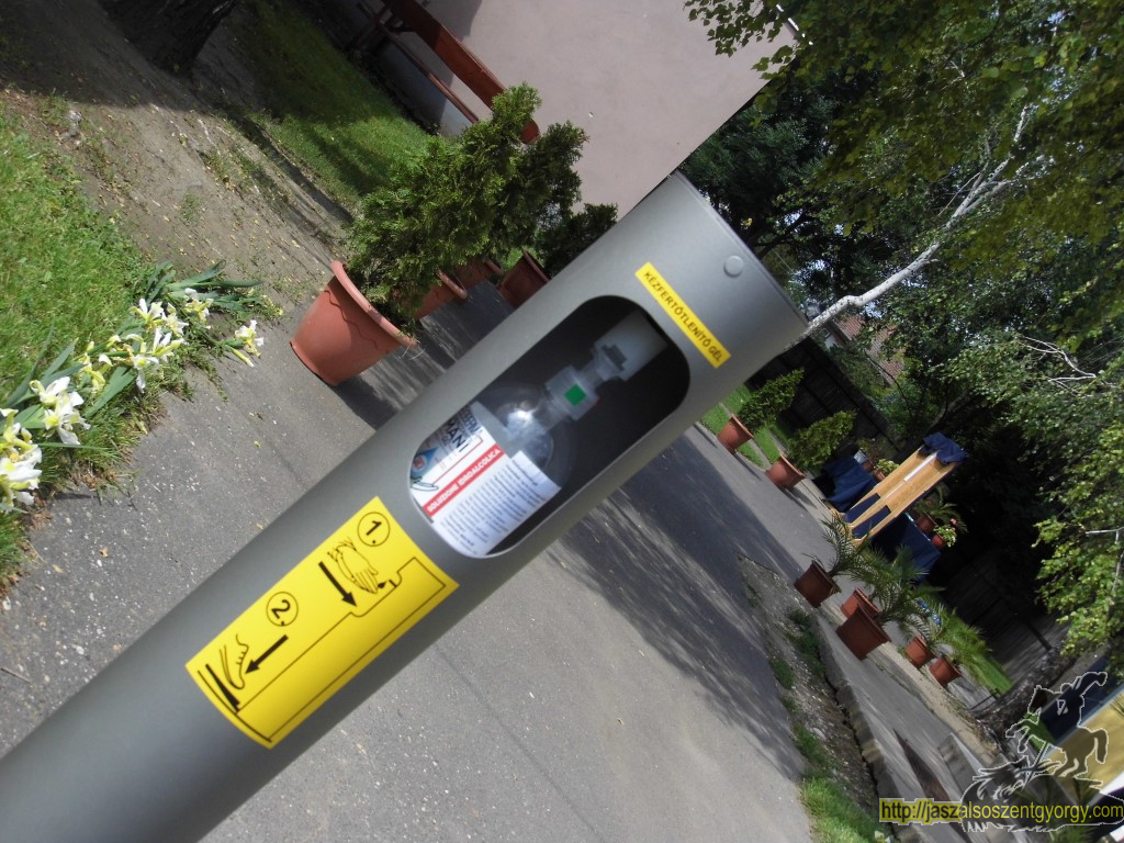 ballagas_2020_115.JPG