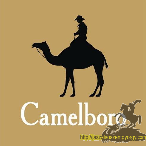camelboro.jpg