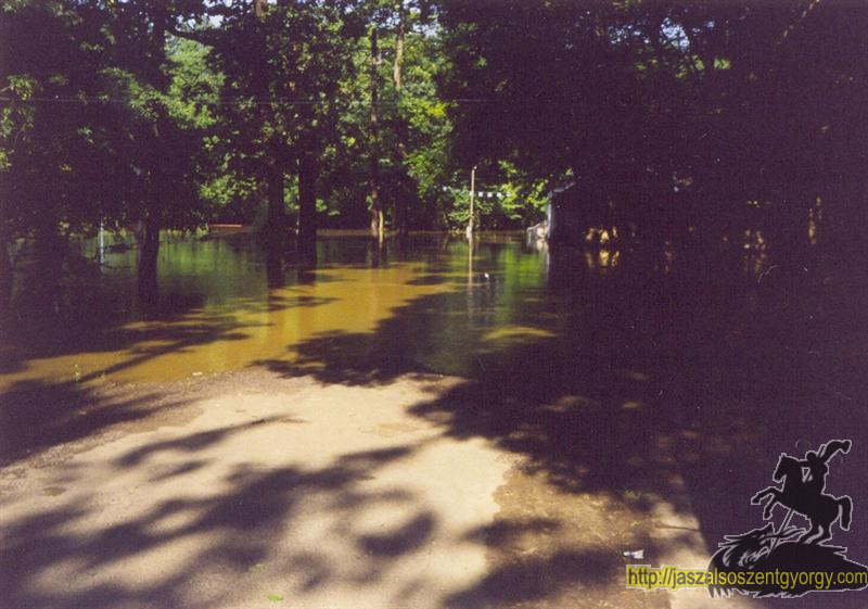 zagyva984.jpg