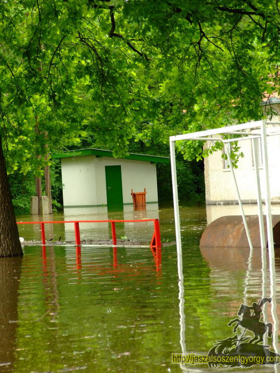 20100517arviz058.jpg