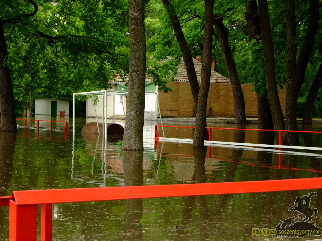 20100517arviz059.jpg
