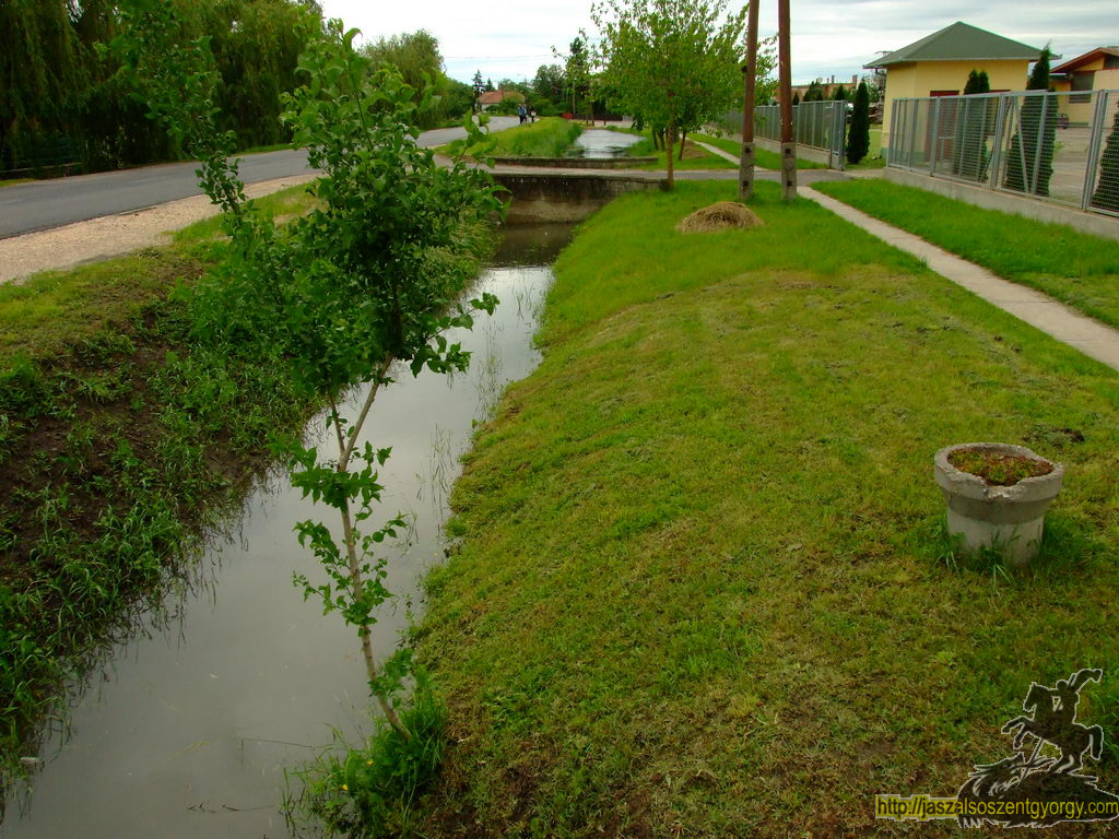 20100517arviz075.jpg