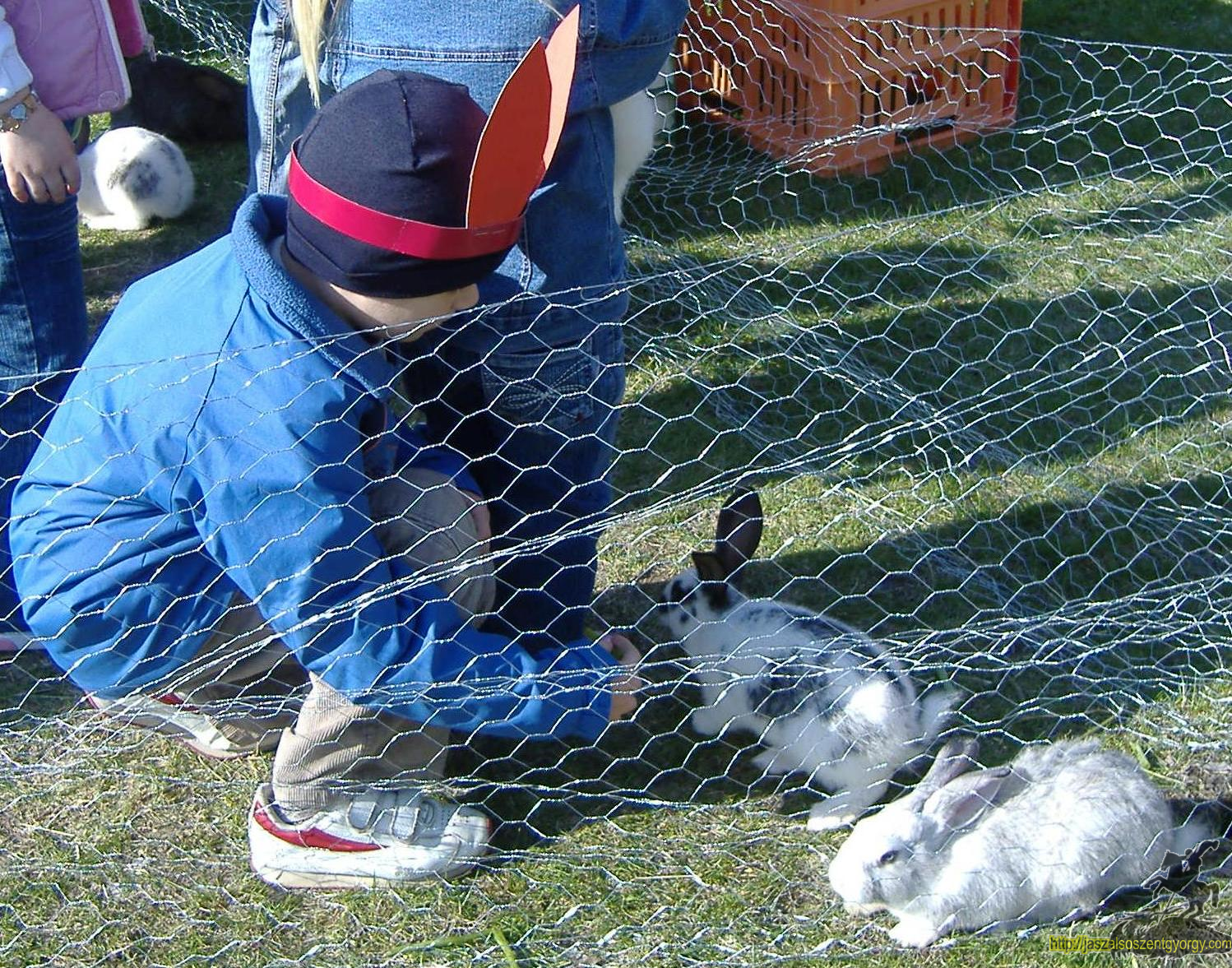 husvet10020b_1.jpg