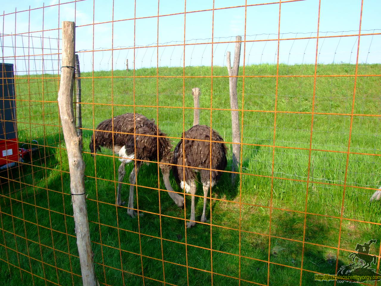 birkanyiro100424_ 010.JPG