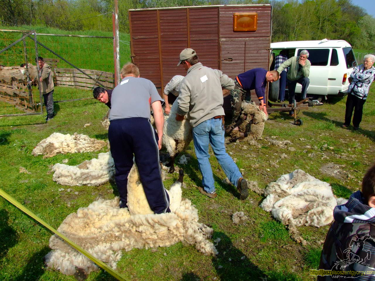 birkanyiro100424_ 032.JPG