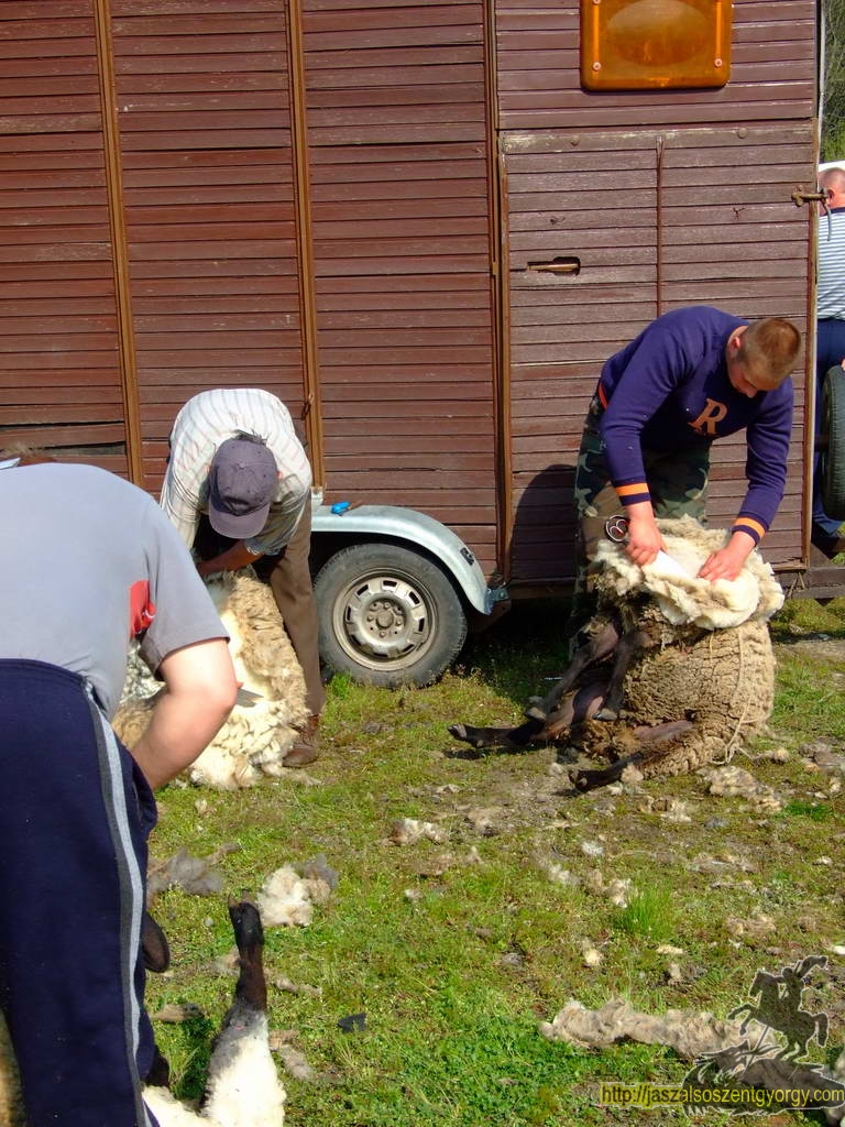 birkanyiro100424_ 034.JPG