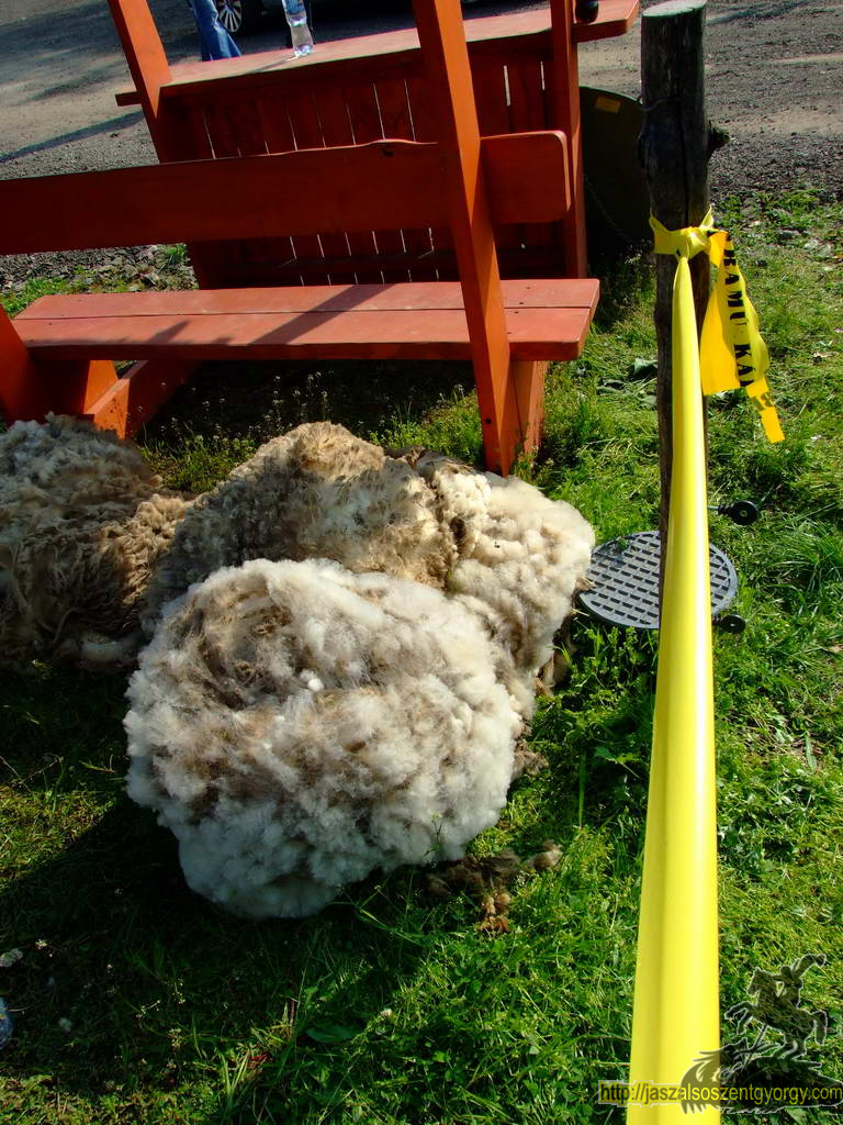 birkanyiro100424_ 035.JPG